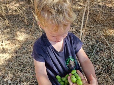 תמונה של WhatsApp&rlm; 2024-10-06 בשעה 13.20.52_87faf5b5