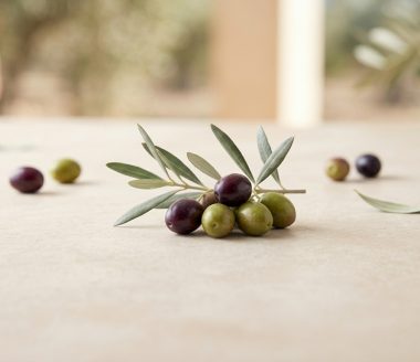 זיתים ברקע מעומעם
