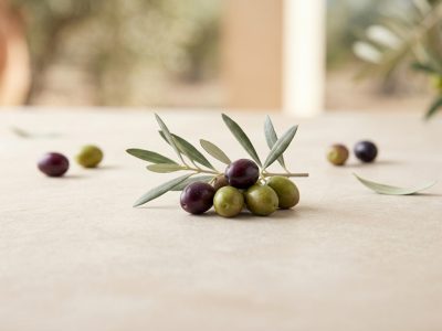 זיתים ברקע מעומעם